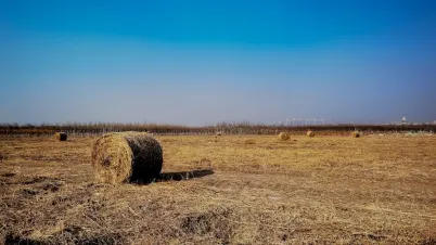 Kakadu Kasyno Aplikacja mobilna